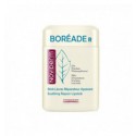 STICK REPARADOR LABIAL BOREADE R