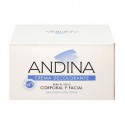 CREMA DECOLORANTE ANDINA 100ml