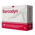 SARCODYN SABOR PIÑA 21 sobres