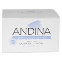 CREMA DECOLORANTE ANDINA 30 ml